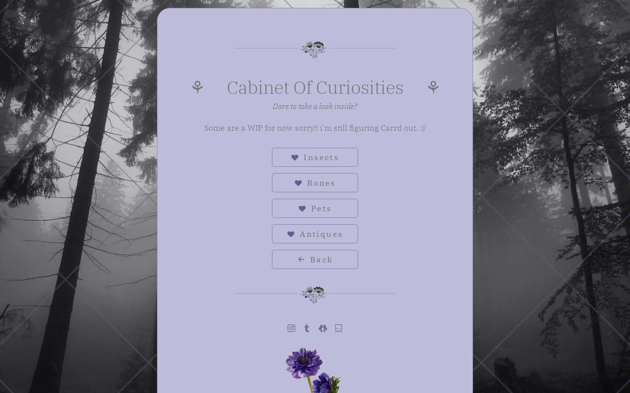 Carrd profile picture for @cabinets