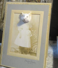 Stuffed Mouse Head On VIctorian Children