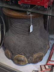 Elephant Foot Stool